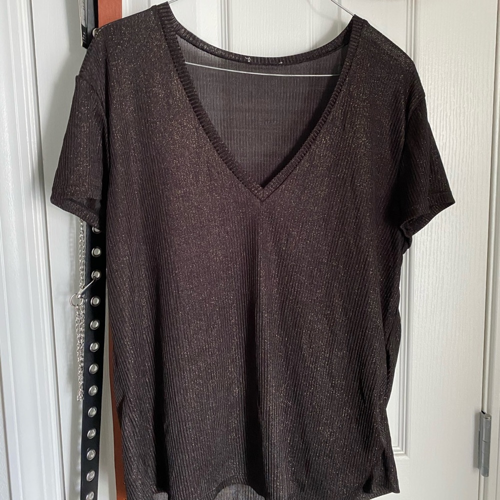 Sheer Shirt